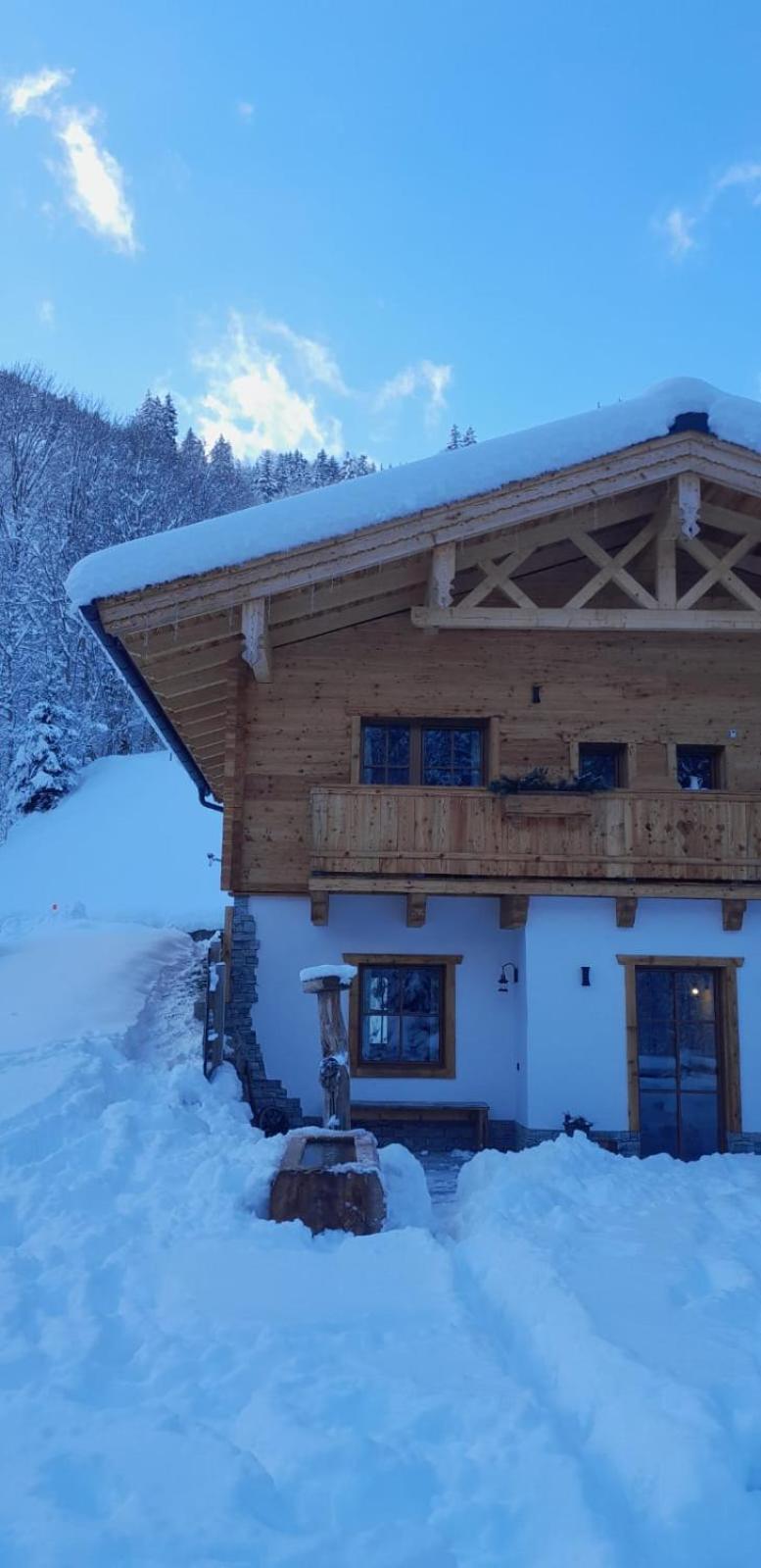 Riedlfeld Chalet Дінтен-ам-Гохкеніг Екстер'єр фото